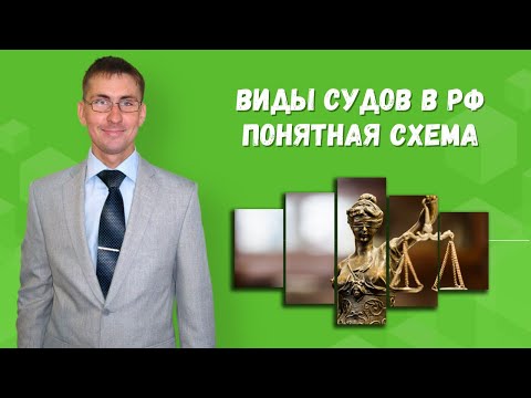 Виды судов в Российской Федерации и их характеристика