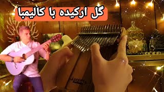 گل ارکیده با کالیمبا - ملودی نوستالژیک و آرامشبخش