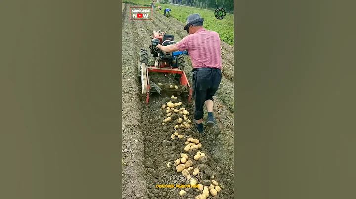 Potato Harvesting Machine