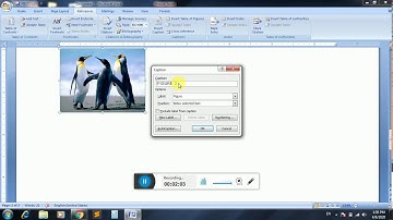Insert Caption in MS Word Pashto lecture