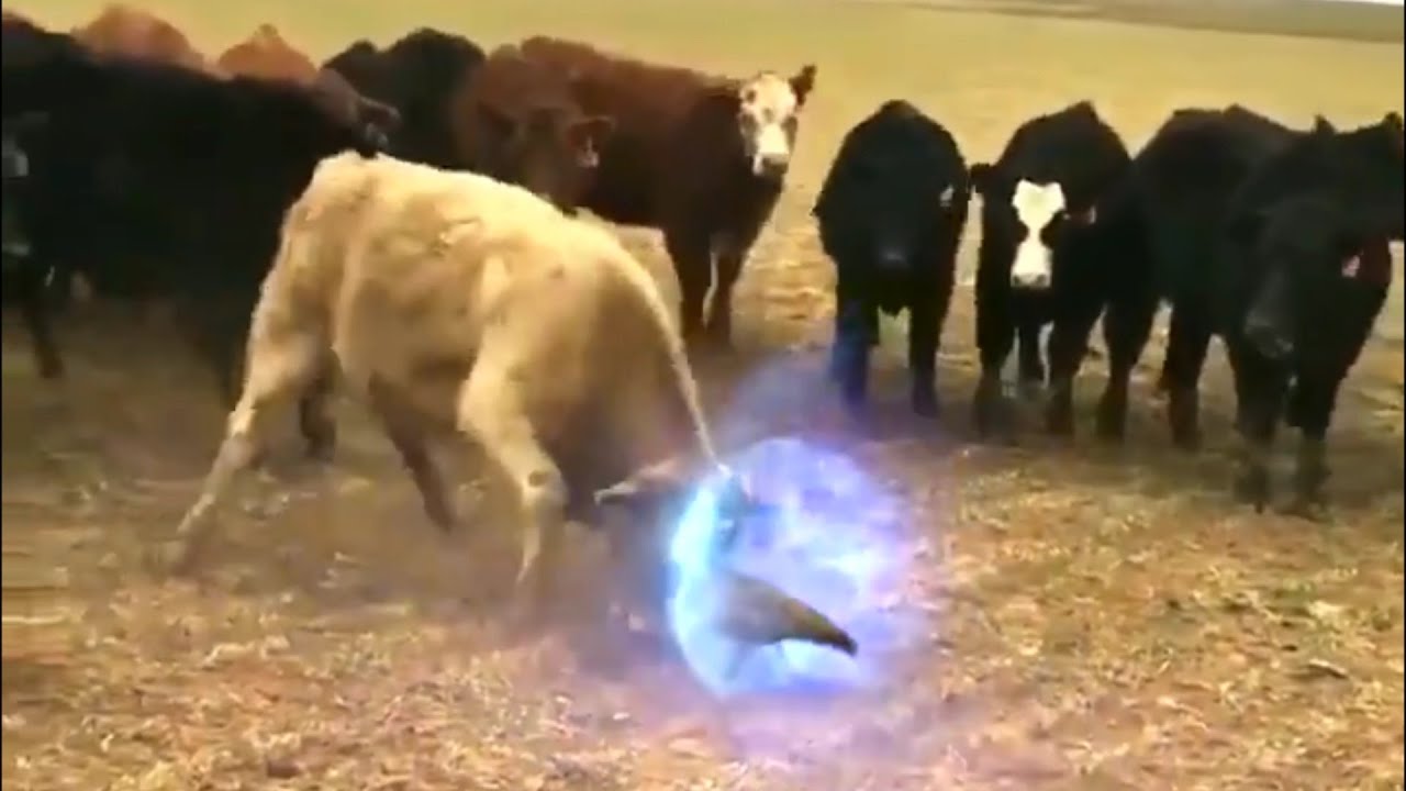 🔥BEST WTF MEMES COMPILATION 2020🔥 (V3)