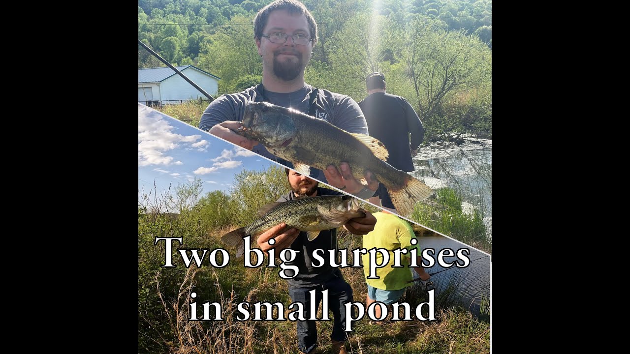 Big surprises in small pond