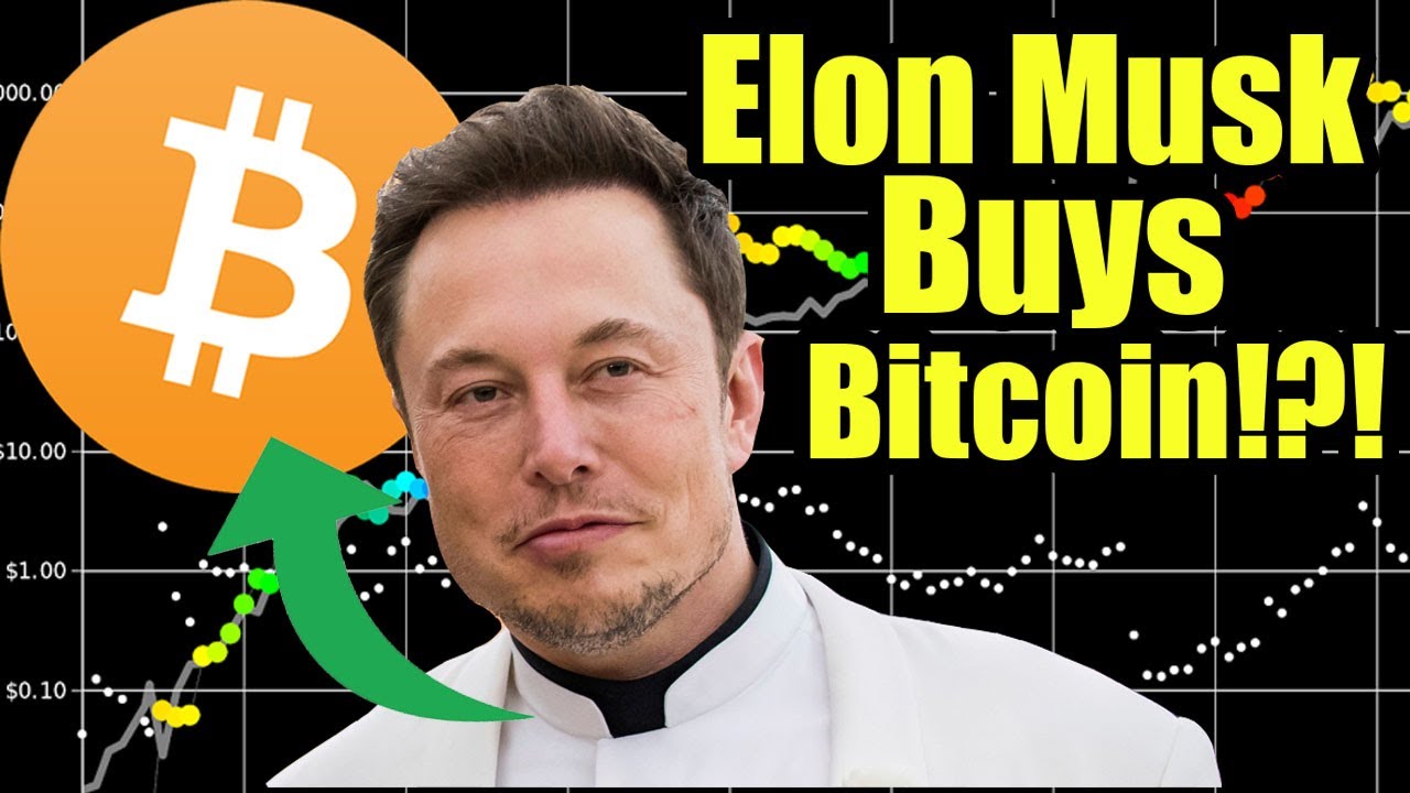 Elon Musk Buying Bitcoin?!? MicroStrategy buys $650 Million Dollars Worth Of Bitcoin