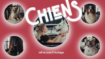 Louane - Chiens (Clip Officiel)