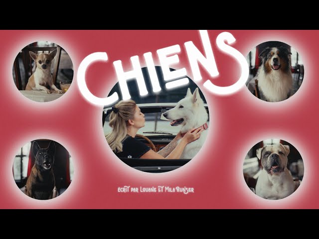 Louane - Chiens