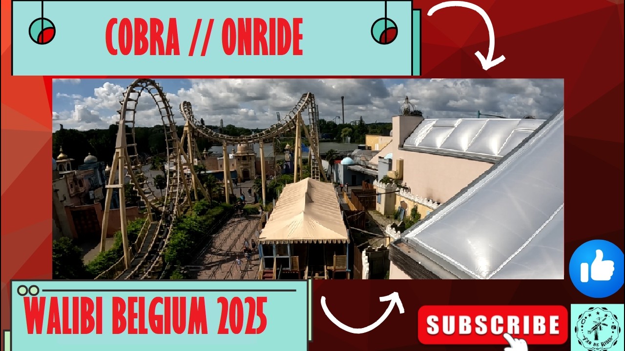 COBRA [Onride] WALIBI BELGIUM 2025