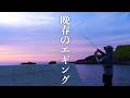 春の終わりのショアエギング【エンバーメイズ】