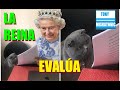 CONFUNDEN A PRINCIPE HARRY CON VENDEDOR. ESTEFANIA DE MONACO PIDE DINERO. PRINCIPE WILLIAM DA PREMIO