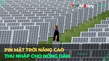 Pin mặt trời nâng cao thu nhập cho nông dân | VTVMoney