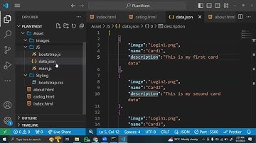 How to Add Dynamic Cards Using JavaScript from JSON