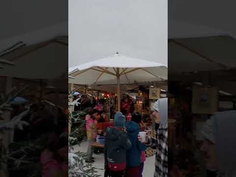 Magical SNOWFALL At The Grindelwald Christmas Market 2023 