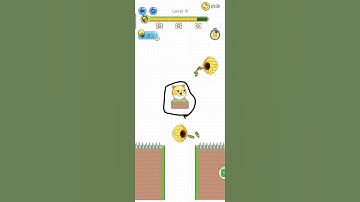 save the dog level 9#krishna