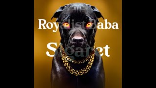 Royalist Baba - İstanbul Manzara