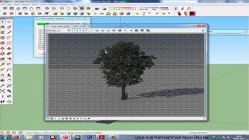 SketchUp V-Ray Proxy Tutorial and MAKE FOREST