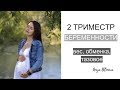 2 триместр | вес, самочувствие, узи