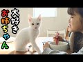 保護した子猫が娘を好き過ぎて癒される