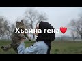 Сан дог♥️