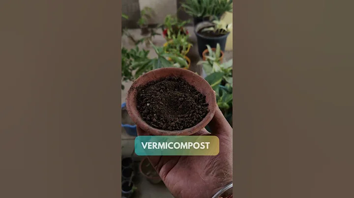 4 Best Organic Fertilisers | 4 ऑर्गेनिक खाद #shorts #gardeningtips #gardening