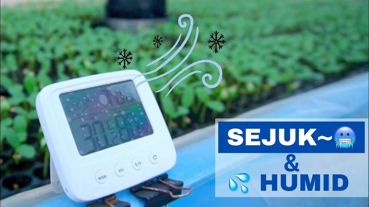 [ TUTORIAL 18# ] Cara sejukkan rumah semai l Humidifier