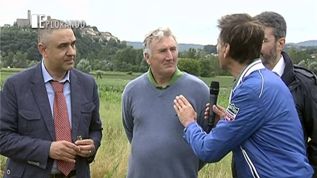 esplorando Casentino - allevare vacche Chianine