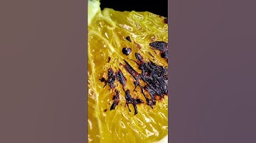 Lime macro asmr #closeup #macro #asmr #satisfying #closeup #macro video #viral