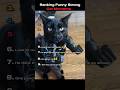 Funny strong cat moments #ranking #cat #shortsfeed