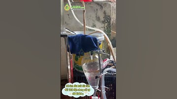 Nồi chưng cất 120 lít điện Lalifa chưng cất tinh dầu bưởi cực nhiều tinh dầu ạ!!!