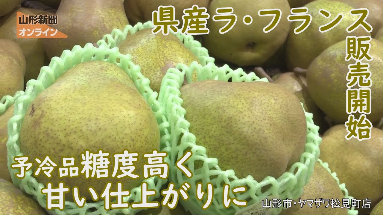 ラ・フランス販売開始 予冷品 糖度高く甘い仕上がりに 山形県山形市
