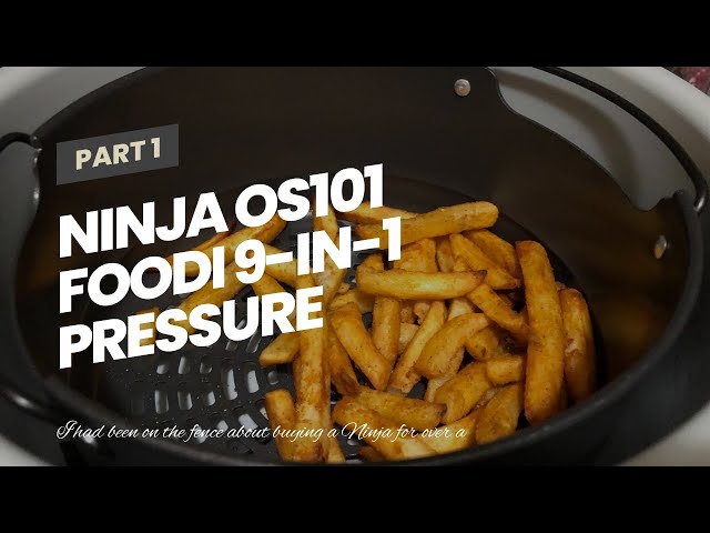 Ninja Foodi 9 in 1 Pressure Cooker and Air Fryer with Nesting Rack, Silver  