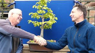 “What Is Jelle REALLY Like? 🌳 Growing Bonsai EXPOSED!”