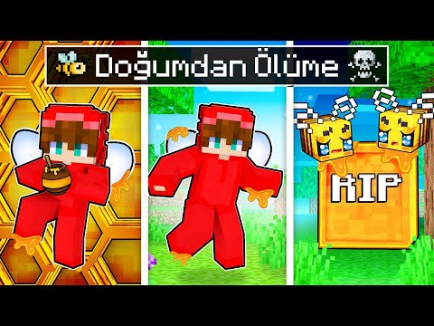 DOĞUMDAN ÖLÜME BEBEK ARI - Minecraft