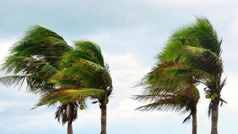 (4-60) A particle of mass m, initially at rest at x = 0, is accelerated by a force that increases in