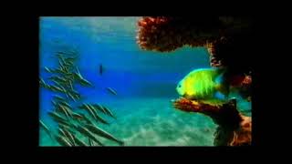 Shell V-Power Advert (2004)