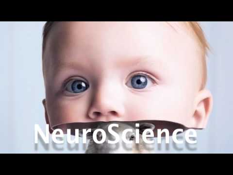 NeuroScience. Early Childhood: A. Schore. D. Siege...