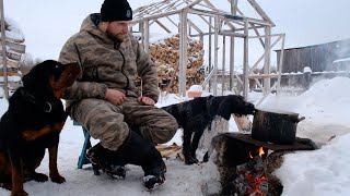 ГОТОВЛЮ СОБАКАМ ЕДУ НА КОСТРЕ. ПОГОДА КАЙФ. РОТВЕЙЛЕР И ДРАТХААР ИГРАЮТ