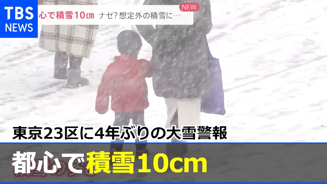 都心で積雪10cm 東京23区に4年ぶりの大雪警報【news23】 - YouTube