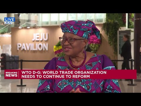 WTO: Must seize the opportunity to implement reforms, 2025 is pivotal Episode cover