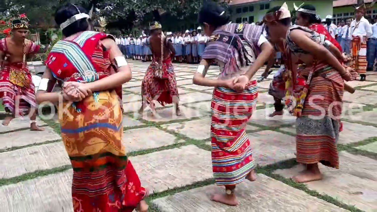 TARIAN TRADISIONAL DAERAH TIMOR 