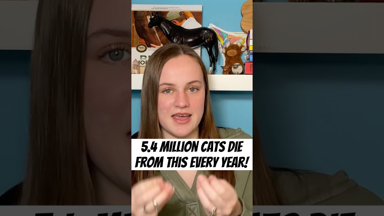 This is just ONE danger facing outdoor cats 🐈 