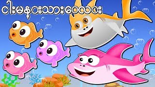 ကေလးသီခ်င္းမ်ား | Baby Shark Myanmar Rhyme | ငါးမန္း ကေလးသီခ်င္း | Burmese Kids Song | chords