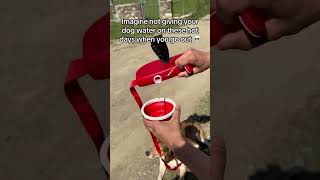 This Dog Leash Does More Than You Think 🐶💧