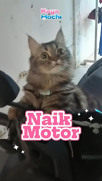 Naik sendiri ke motor ya Nay~