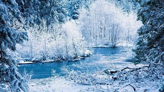 Listen to This Music And You Will Feel Better🎧 Music Relaxes Nervous System, Improves Memory!Winter