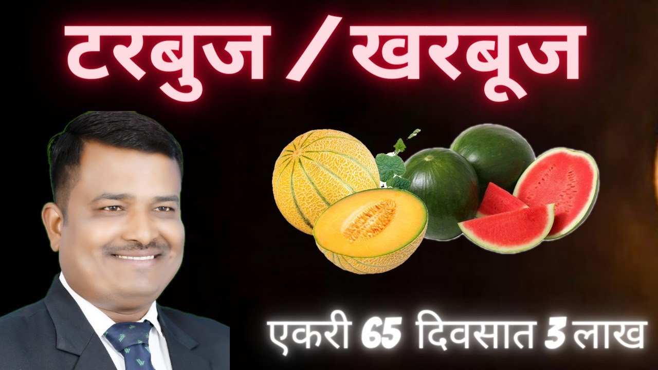 टरबूज व खरबूज संपूर्ण शडूल l Watermelon Forming A to Z Schedule