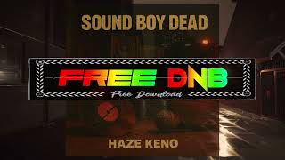 Haze Keno ~ Soundboy Dead @freednb
