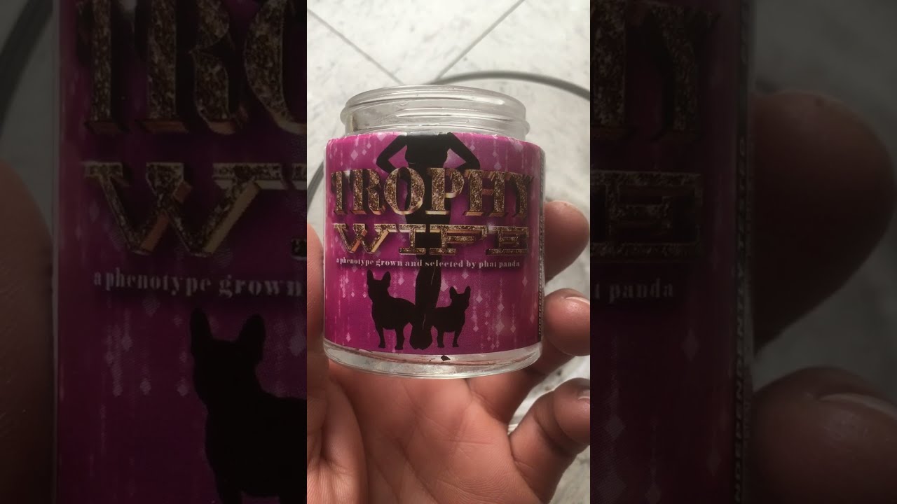 Strain review phat panda trophy wife