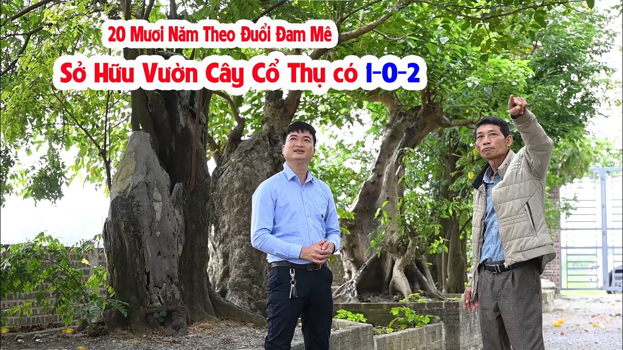 Hơn 20 Năm Theo Đuổi Đam Mê Sưu Tầm Cây Cổ Thụ. Chú Hạnh Sở Hữu Không Gian Sân Vườn Có 102