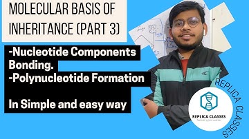 Molecular Basis of Inheritance (Part 3) Polynucleotide Formation