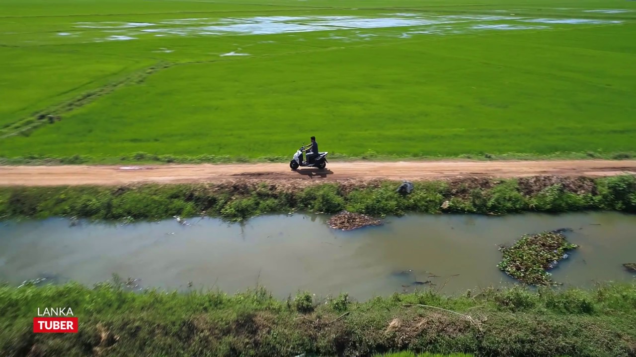 Eastern Beauty - Sri Lanka