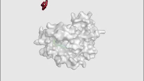 Protein-peptide docking using CABS-dock [example 1]
